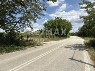 Αγροτεμάχια 6.280 τ.μ. για πώληση