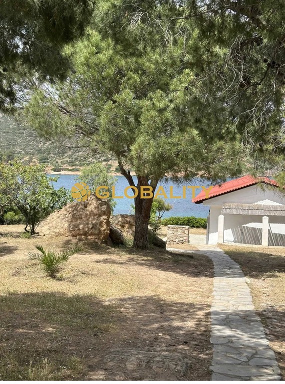 Μονοκατοικία 125 τ.μ. προς ενοικίαση, Πόρτο Ράφτη