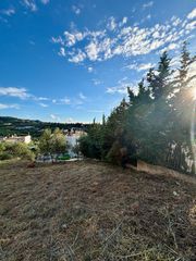 Οικόπεδο 413 τ.μ. για πώληση, Αχαΐα, Μεσσατίδα-thumb-6