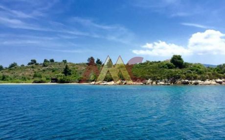 Αγροτεμάχια 16.000 τ.μ. πρός πώληση