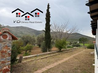 Μονοκατοικία 120 τ.μ. προς πώληση, Νέα Στύρα-thumb-21