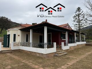 Μονοκατοικία 120 τ.μ. προς πώληση, Νέα Στύρα-thumb-19