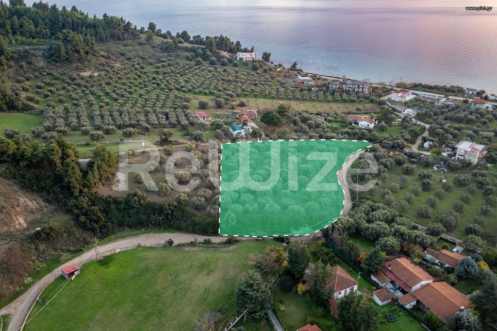 Αγροτεμάχια 5.032 τ.μ. προς πώληση, Νέα Σκιώνη