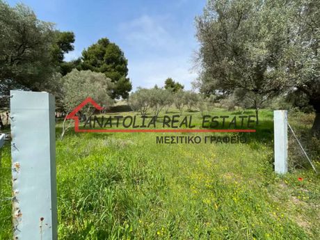 Αγροτεμάχια 5.200 τ.μ. πρός πώληση