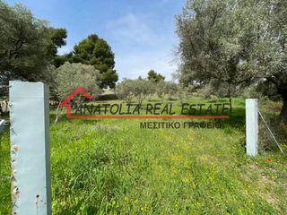 Αγροτεμάχια 5.200 τ.μ. για πώληση