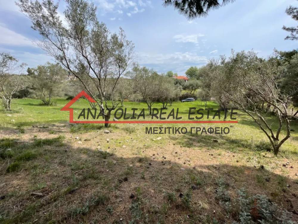 Αγροτεμάχια 5.200 τ.μ. πρός πώληση, Χαλκιδική, Ορμύλια