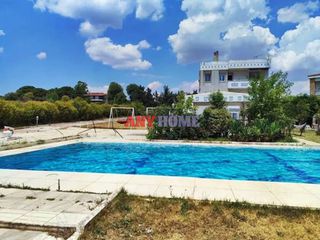 Μονοκατοικία 500 τ.μ. για ενοικίαση