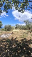 Οικόπεδο 1.834 τ.μ. προς πώληση, Νομιτσής-thumb-8