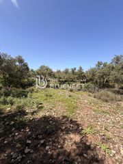 Αγροτεμάχια 5.353 τ.μ. για πώληση