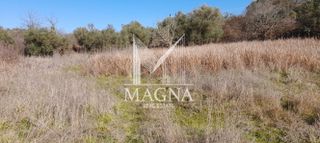 Οικόπεδο 3.510 τ.μ. για πώληση, Ν. Ηλείας, Πηνεία-thumb-3