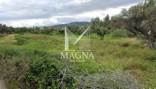 Οικόπεδο 1.010 τ.μ. για πώληση