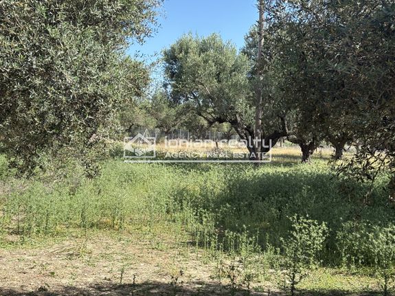Land plot 1.000 sqm for sale, Zante, Main Town Area