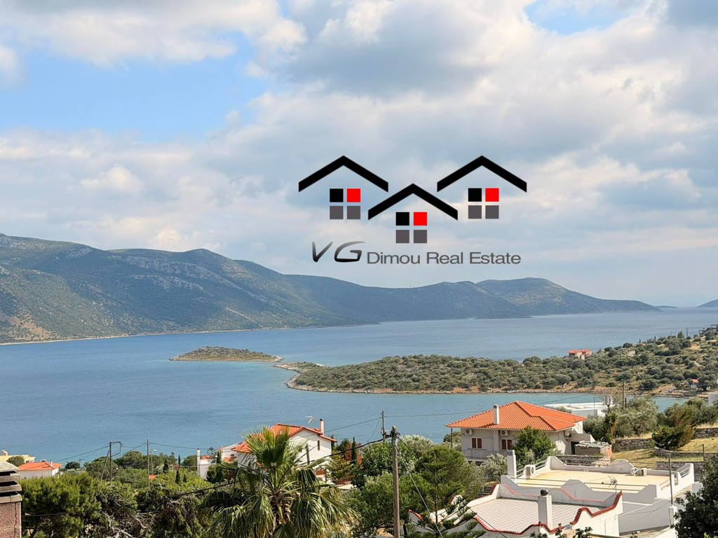 Μονοκατοικία 240 τ.μ. πρός πώληση, Εύβοια, Δύστος