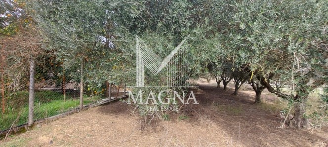 Κατάστημα 93 τ.μ. πρός πώληση, Αιτωλοακαρνανία, Στράτος