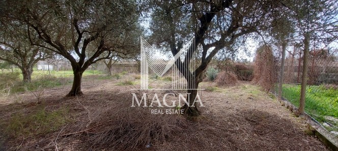 Κατάστημα 93 τ.μ. πρός πώληση, Αιτωλοακαρνανία, Στράτος