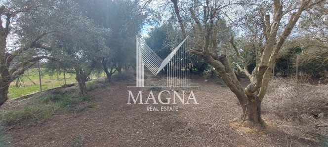 Κατάστημα 93 τ.μ. πρός πώληση, Αιτωλοακαρνανία, Στράτος