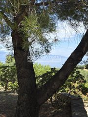 Οικόπεδο 1.110 τ.μ. για πώληση