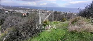 Αγροτεμάχια 1.073 τ.μ. για πώληση
