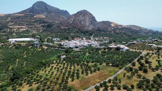 Αγροτεμάχια 5.955 τ.μ. για πώληση