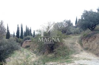 Αγροτεμάχια 3.124 τ.μ. για πώληση
