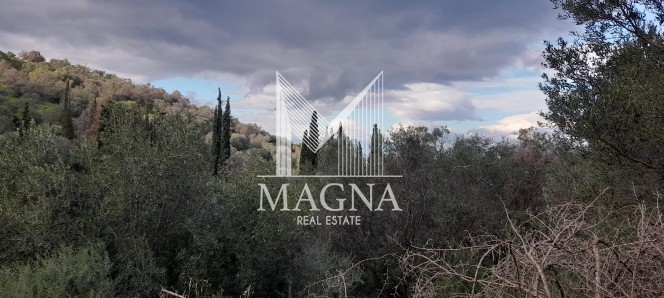 Αγροτεμάχια 3.124 τ.μ. προς πώληση, Άνω Λουτρό
