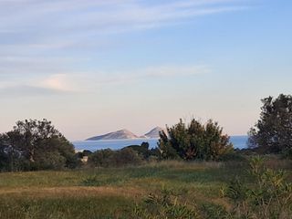 Αγροτεμάχια 6.784 τ.μ. για πώληση