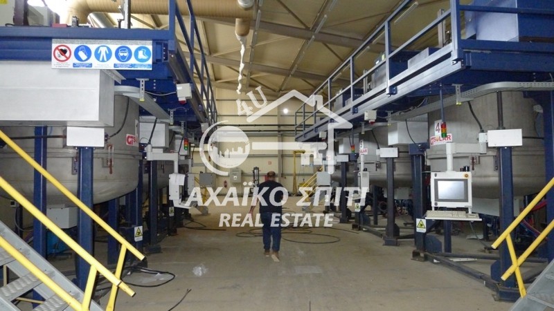 Βιομηχανικός χώρος 7.910 τ.μ. προς ενοικίαση, Άγιος Στέφανος Ωλένιας