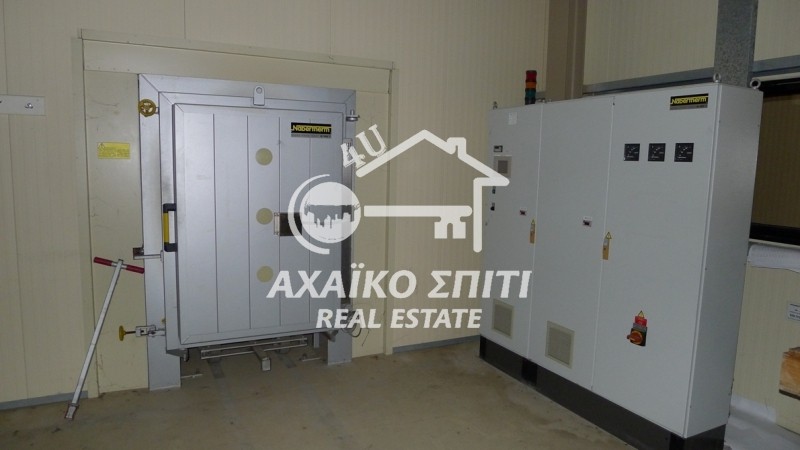 Βιομηχανικός χώρος 7.910 τ.μ. προς ενοικίαση, Άγιος Στέφανος Ωλένιας
