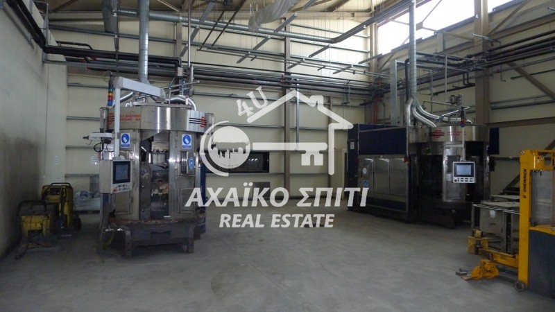 Βιομηχανικός χώρος 7.910 τ.μ. προς ενοικίαση, Άγιος Στέφανος Ωλένιας