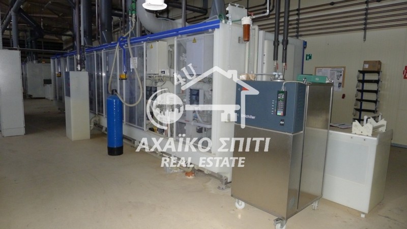 Βιομηχανικός χώρος 7.910 τ.μ. προς ενοικίαση, Άγιος Στέφανος Ωλένιας