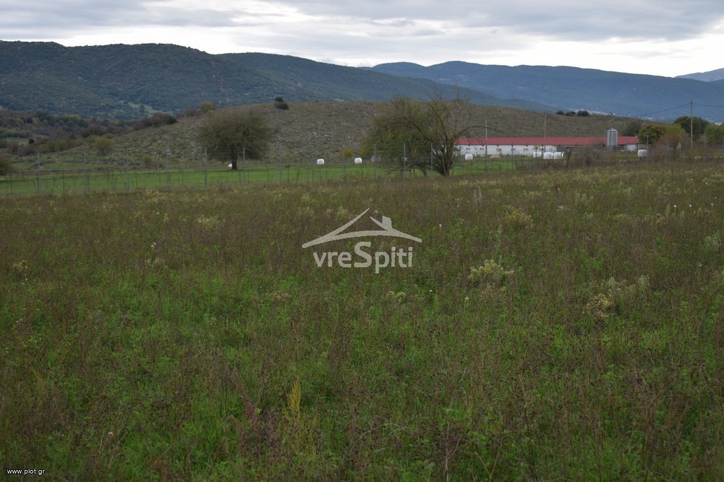 Αγροτεμάχια 5.100 τ.μ. προς πώληση, Αμπελιά Εγνατίας