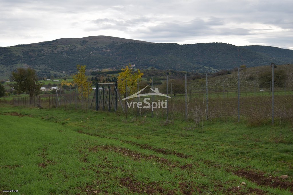 Αγροτεμάχια 5.100 τ.μ. προς πώληση, Αμπελιά Εγνατίας