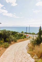 Αγροτεμάχια 4.750 τ.μ. για πώληση