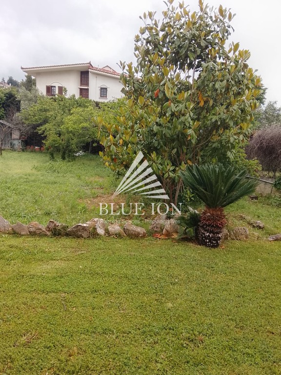Βίλλα 378 τ.μ. πρός πώληση, Αττική - Υπόλοιπο, Ωρωπός