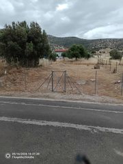 Αγροτεμάχια 270 τ.μ. για πώληση