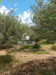 Οικόπεδο 5.500 τ.μ. για πώληση