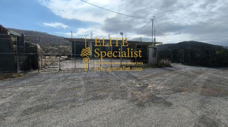 Βιομηχανικός χώρος 237 τ.μ. για πώληση