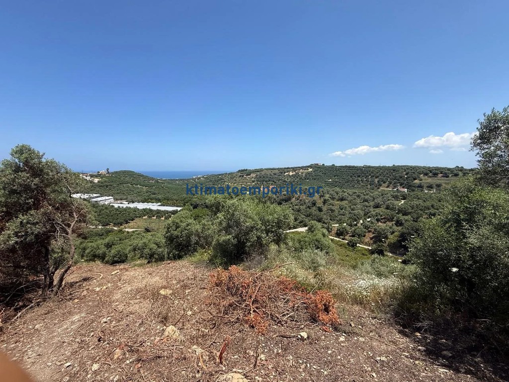 Οικόπεδο 9.800 τ.μ. προς πώληση, Σταλός