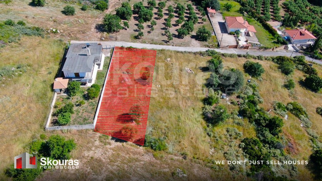 Οικόπεδο 1.017,88 τ.μ. προς πώληση, Στασιό