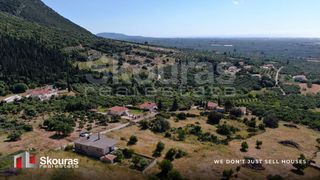 Οικόπεδο 1.017,88 τ.μ. προς πώληση, Στασιό-thumb-20