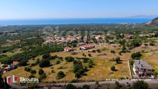 Οικόπεδο 1.017,88 τ.μ. προς πώληση, Στασιό-thumb-10