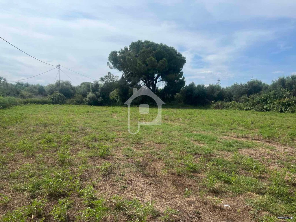 Αγροτεμάχια 3.091 τ.μ. προς πώληση, Κακόβατος Ζαχάρως