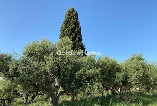 Οικόπεδο 6.516 τ.μ. για πώληση