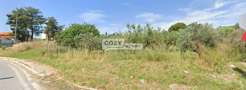 Αγροτεμάχια 2.200 τ.μ. προς πώληση, Βάρκες