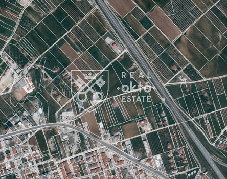 Αγροτεμάχια 4.400 τ.μ. πρός πώληση