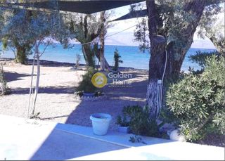 Επιχείρηση 1.200 τ.μ. για πώληση, Αχαΐα, Αίγιο-thumb-15