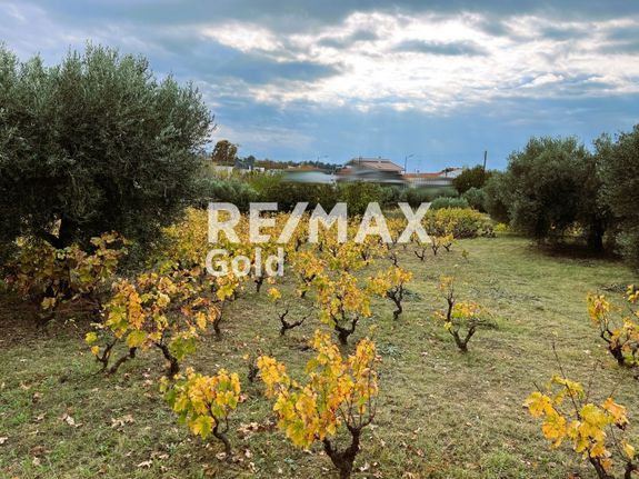 Parcel 5.698 sqm for sale, Chalkidiki, Sithonia