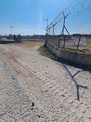 Αγροτεμάχια 9.450 τ.μ. για ενοικίαση
