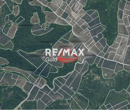 Αγροτεμάχια 6.710 τ.μ. προς πώληση