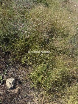 Οικόπεδο 281 τ.μ. για πώληση